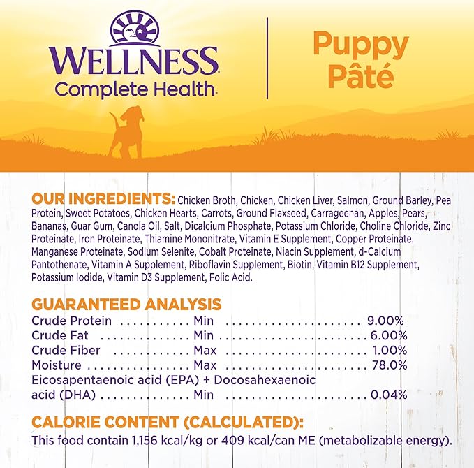 Wellness Complete Health Pate Puppy Canned Wet Dog Food, Wholesome Grains, Natural, Chicken and Salmon Recipe, 12.5 oz, Pack of 12 Cans