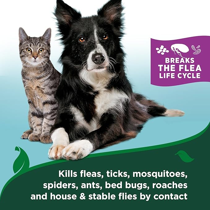 Vet's Best Natural Waterless Flea & Tick Bath for Cats – Natural Dry Shampoo for Cat Flea and Tick Prevention – No-Rinse Formula with Certified Essential Oils – Plant-Based Cat Wash – 8 oz Bottle