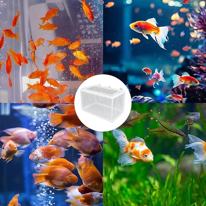 Fish Breeding Box – Aquarium Breeder Box with Mesh, Fish Fry Hatchery & Isolation Box, Suction Cup Fish Tank Breeding Box, Juvenile Fish Separation Net for clownfishh and Other Fish