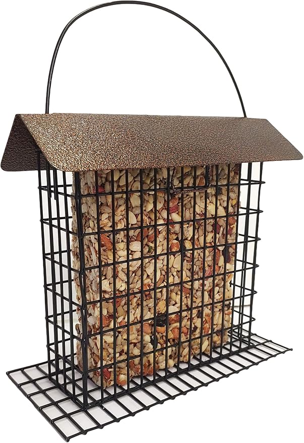 Songbird Feast Large Seed Cakes | 1.5-2 lb Large Bird Seed Cakes for Wild Birds