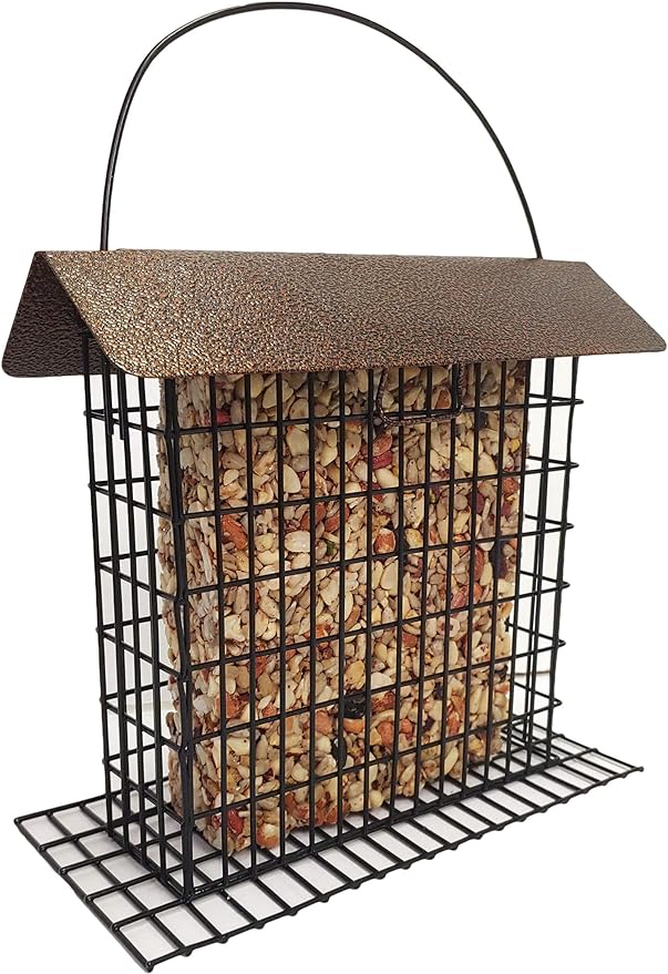 Wildlife Sciences Songbird Feast Large Seed Cakes | 1.5-2 lb Large Bird Seed Cakes for Wild Birds (Pack of 4)