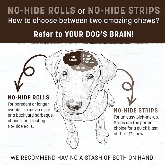 Earth Animal No Hide Chews - Long Lasting Rawhide Free Medium Dog Chews Rolls, Peanut Butter - 3 Count Value Pack