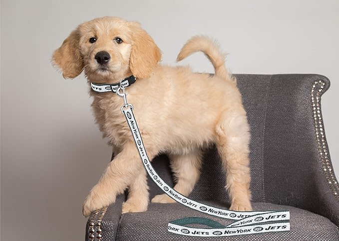 New York Jets Leash