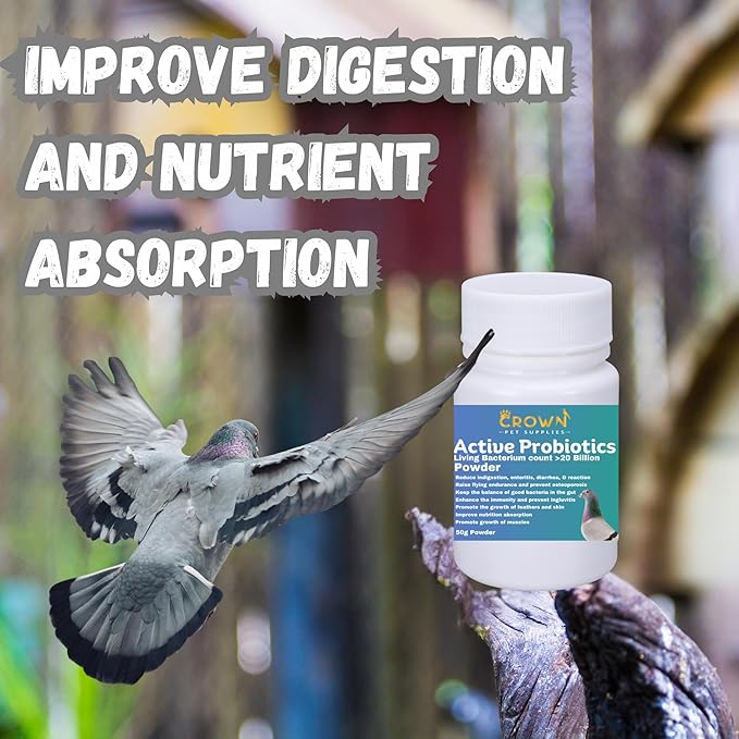 Probiotic Powder for Pigeons – 20 Billion CFU with Beneficial Bacteria – Supports Gut Health, Digestive Balance, Nutrient Absorption, Endurance & Feather Growth 50g