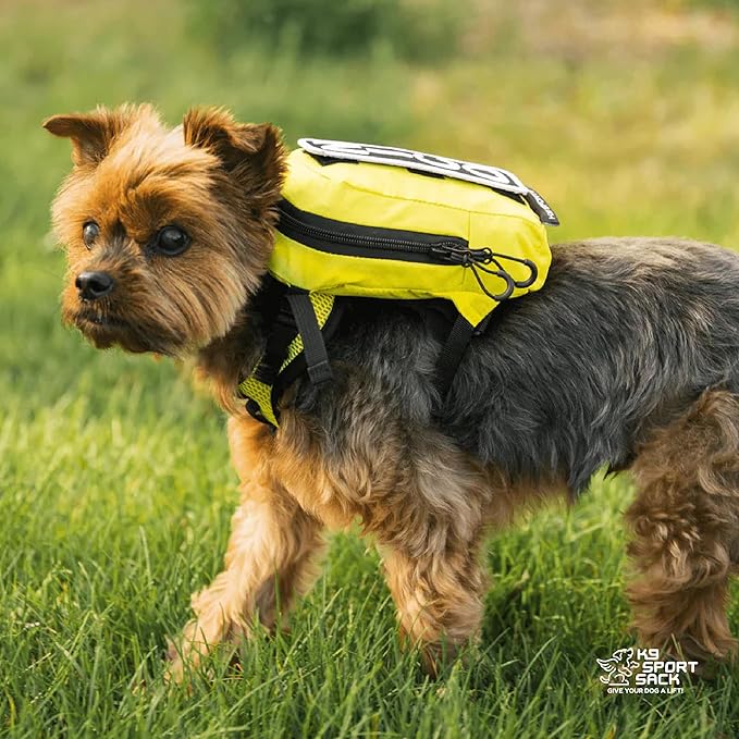 K9 Sport Sack Walk-On - Medium, Shark Skin Gray - Ideal for Dogs with 17-19” Back Length - Lightweight, Packable, Backpack-Style Carrier - Includes Compatible Harness & Storage Bag