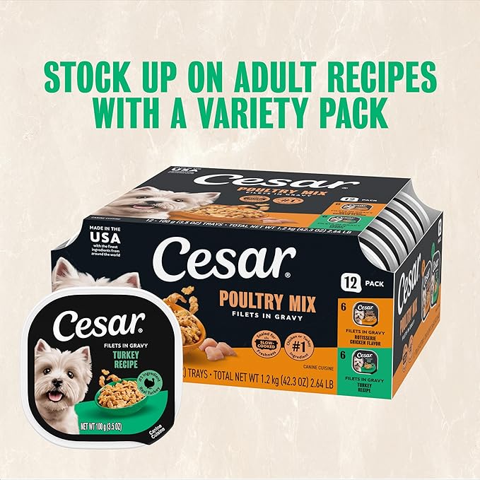 Cesar Filets in Gravy Adult Wet Dog Food Turkey Recipe, 3.5 oz. Easy Peel Dog Food Tray, 24 Count (Pack of 1)