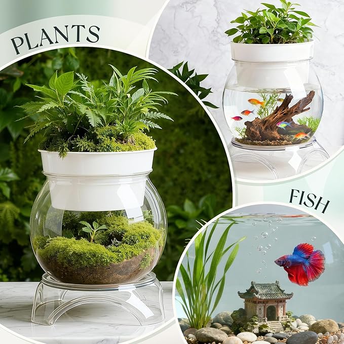 Geelin 1 Gallon Plastic Aquaponic Betta Fish Tank Aquaponic with Base and Top, Large Bowl Shatterproof Ecosystem Aquarium with Clear Clarity for Terrarium, Flower Vase Betta Fish Centerpiece Gifts