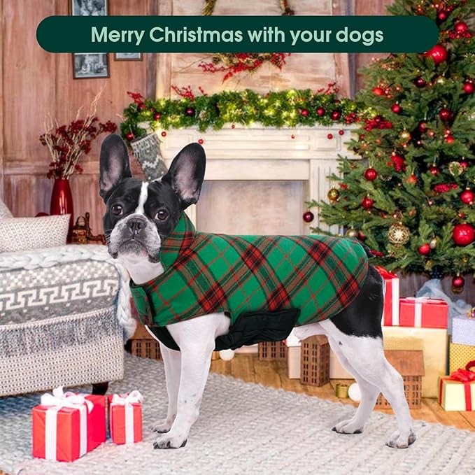 Kuoser Waterproof Dog Coat, Reversible Dog Jacket for Medium Dogs, Adjustable Durable Doggie Winter Coat Warm Puppy Cold Weather Apparel from Small to Large Breed, Christmas Green M