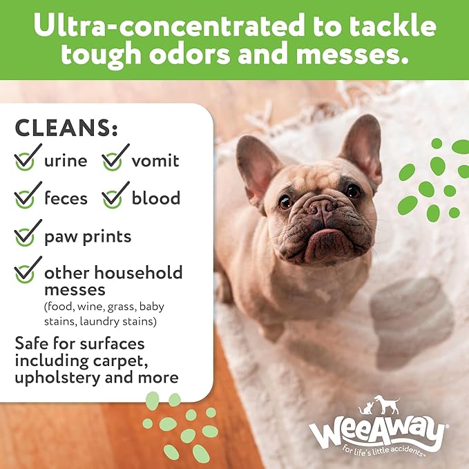 Wee Away X2 Ultra-Concentrated Stain & Strong Odor Eliminator, Enzyme Cleaner, Pet Odor Eliminator for Home - Dog Urine Destroyer - Carpet Cleaner Spray, Green Tea Scent, 16 fl oz