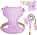 Didog Cute Small Dog Harness Collar and Leash Set with Bowtie, Breathable Soft Mesh Padded Puppy Harness, Dog Harness for Small Dogs Daily Walks Parties, Holiday Gatherings & Gifts, Purple, M