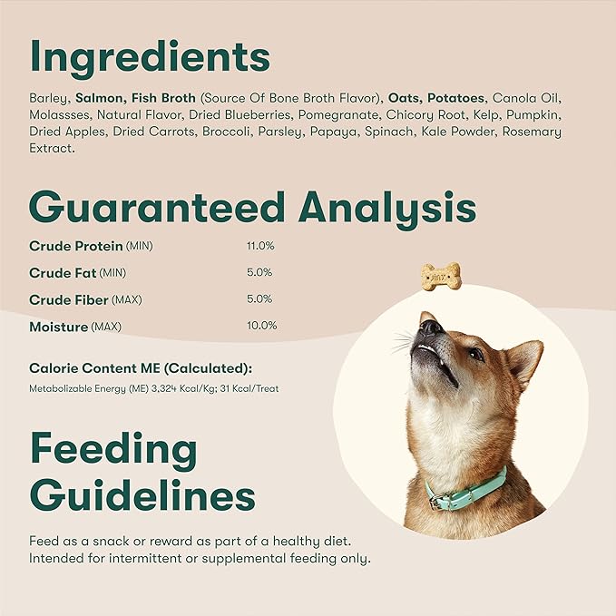 Jinx Oven-Baked Salmon Bone Broth Biscuit Dog Treats - Crunchy, All Natural, Superfood-Rich with High-Protein Salmon, Dog Biscuits for Puppies, Adults & Seniors - 16oz
