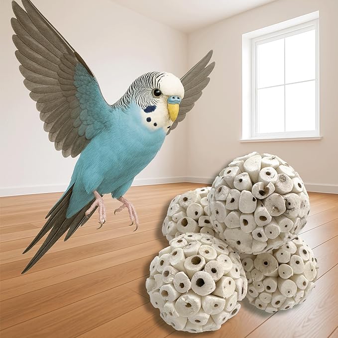 8001 Pk4 Small Sola Balls - Handcrafted Bird Toy & Cage Accessories for Parakeet, Parrot, Cockatiel, Conure - 2.4 Inch Lightweight Foraging Chew Parts - Breaks Apart, Lightweight, Easy top chew