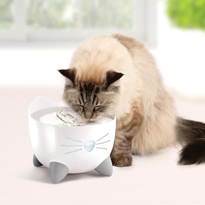 Catit PIXI Drinking Fountain – Cat Water Fountain with Triple Filter and Ergonomic Drinking Options, Stainless Steel