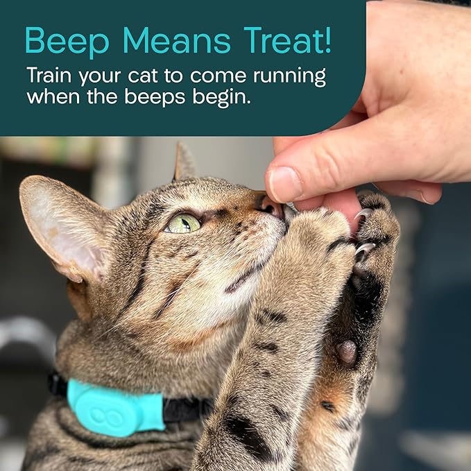 Tabcat V2 Cat & Kitten Tracker - No Monthly Subscription Fee | 4 Lightweight Homing Tags, Cases & Tracking Handset | More Accurate Than GPS | Track 4 Cats Indoors & Outdoors to 1" & 500 ft Range