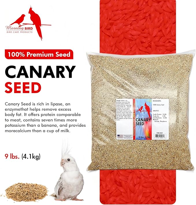 Morning Bird Canary Seed 9 lbs, Nutrient-Rich Bird Seed, Creamy Golden Grain Powerhouse - Supports Healthy Feathers & Strong Bones – Natural Daily Nutrition for All Bird Types