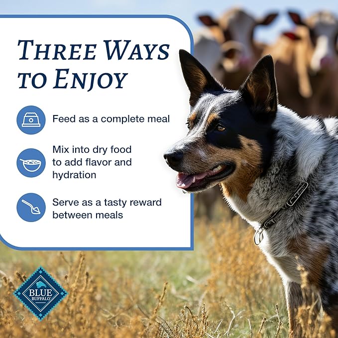 Blue Buffalo Family Favorites Adult Wet Dog Food, Made with Natural Ingredients, Sunday Chicken Dinner, 12.5-oz Can (Pack of 12)