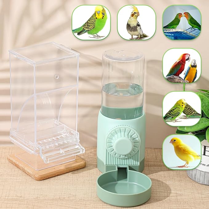 4 Pcs No Mess Small Bird Feeder Parakeet Water Dispenser Set Automatic Clear Parakeet Feeder Acrylic Watered Cage Accessories for Canary Budgie Lovebirds Finches(Green)
