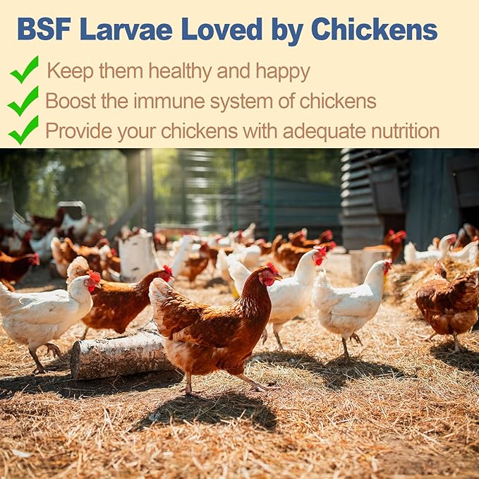 BSF Larvae 85X Calcium Than Dried Meal Worms 20LB(5lbx4) for Chicken Feed - Bulk Black Soldier Fly Larvae Poultry Treats - BSF Grubs Non-GMO Food High Protein Meal Worms for Hens,Wild Bird