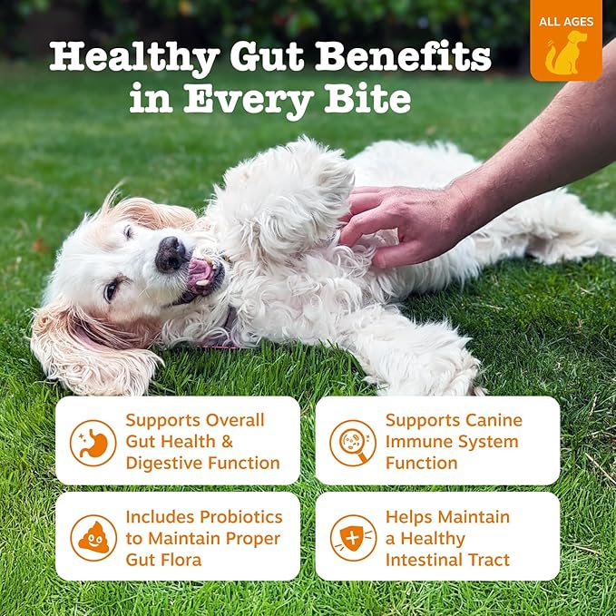 Zesty Paws Probiotics for Dogs - Digestive Enzymes for Gut Flora, Digestive Health, Diarrhea & Bowel Support - Clinically Studied DE111 - Dog Supplement Soft Chew for Pet Immune System - Adv, 90ct