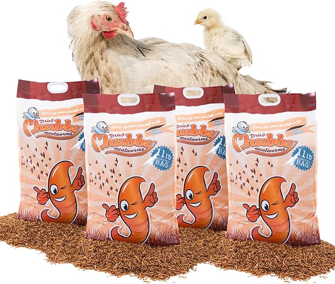 Chubby Dried Mealworms | 44 lbs | High-Protein Non-GMO Treats for Chickens, Ducks, Wild Birds & Backyard Pets