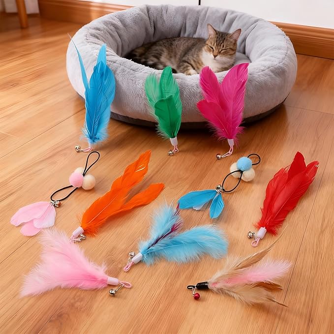 60 Pcs Cat Wand Feather Toys Refill Colorful Cat Wand Replacement Feathers Toy for Interactive Kitten Fishing Pole Feather Attachments with Bells for Stray Cats to Exercise