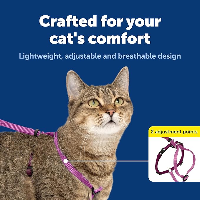 PetSafe Come With Me Kitty Cat Harness & Bungee Leash - Comfortable Cat Harness with Lightweight Bungee Leash for Outdoor Fun - More Secure Walks - Large - Dusty Rose