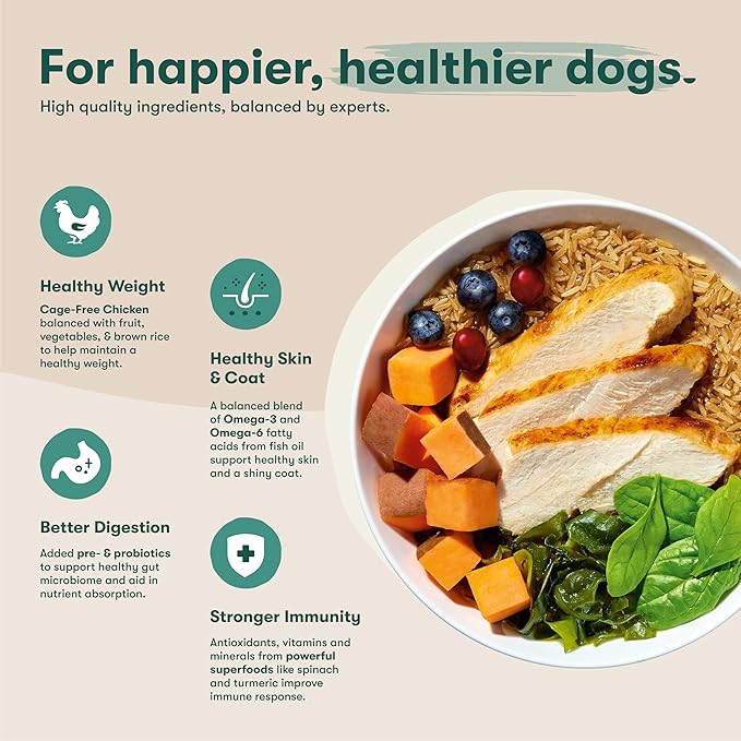 Jinx Premium Dry Dog Food, for All Lifestages - Real Chicken, Brown Rice & Sweet Potato Kibble with Superfoods for Immune Support & Probiotics for Digestive Support - No Fillers - 4lb (Pack of 2)