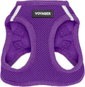 Best Pet Supplies Voyager Step-in Air Harness - All Weather Mesh, Reflective, No Pull Harness for Dogs, Cats - Secure with Hook & Loop Fastener, Buckle, Double D-Rings - Purple, XXXS