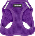 Best Pet Supplies Voyager Step-in Air Harness - All Weather Mesh, Reflective, No Pull Harness for Dogs, Cats - Secure with Hook & Loop Fastener, Buckle, Double D-Rings - Purple, S