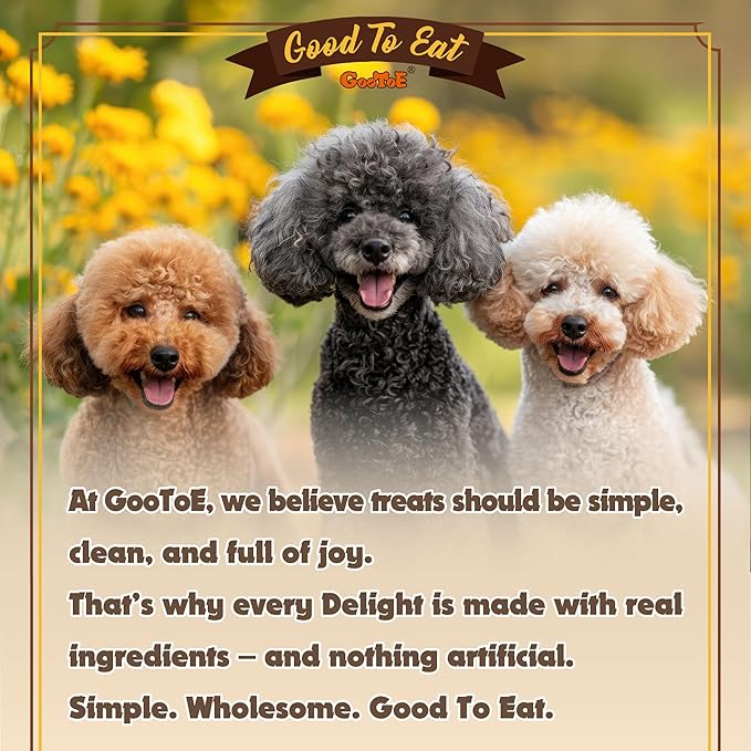 Gootoe Turkey Tendons for Dogs –All-Natural, Hypoallergenic Dog Treats, Rawhide Alternative, Long Lasting Puppy Chews, Healthy Dog Treats for Medium Breeds, Sliced (M), 3 oz Pack (85 g)