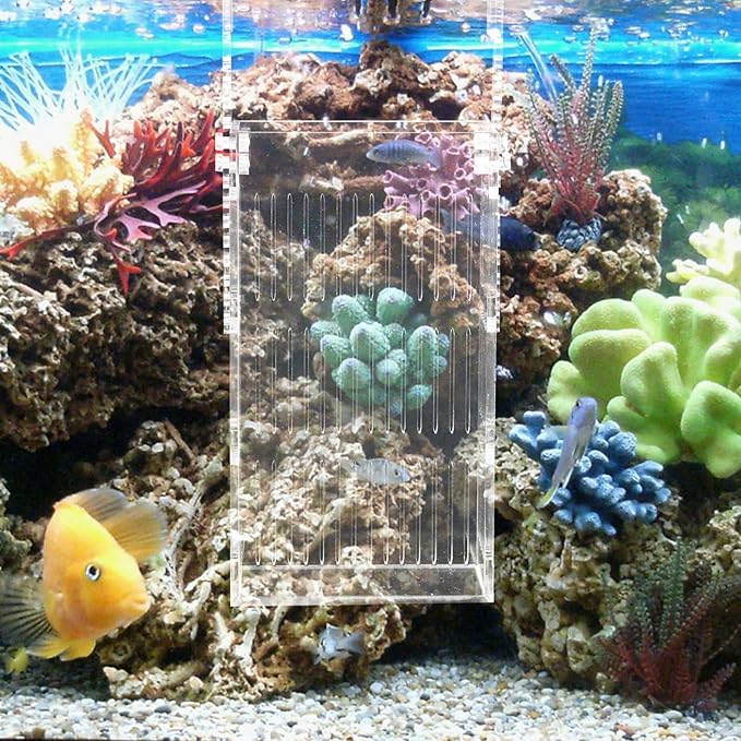 Fish Breeding Box Separator Acrylic Incubator for Betta Guppy Easy to Install Hanging Design Safe Isolation Tank for Fish and Eggs