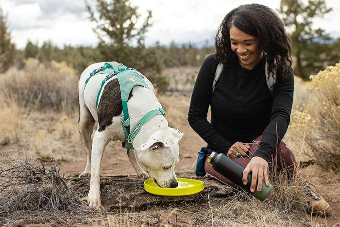 Ruffwear, Camp Flyer Dog Frisbee, Lightweight 8.7 in Flexible Flying Disc Dog Toy for Land Fetch, Soft on Teeth, Durable/High‑Visibility, Waterproof Finish, Doubles as Bowl, Polar Blue
