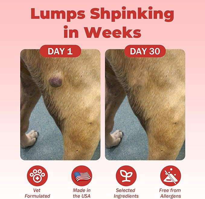 Dog Lumps and Bumps Supplement, Lipoma Treatment for Dogs - Immune Support Chews with Turkey Tail Mushroom, Reishi, Shiitake, Maitake, Curcumin & CoQ10 - Veterinarian formulated - 150 Chews