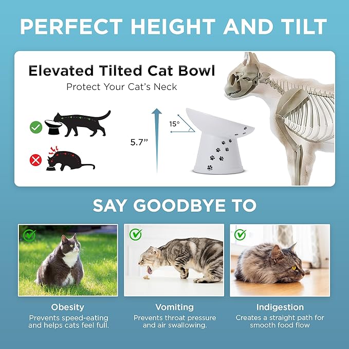 Necoichi Raised Cat Food Bowl – Ceramic Elevated 15° Tilted Cat Bowl for Whisker & Neck Fatigue, Dishwasher Microwave Safe Non-Slip Anti Vomiting Ergonomic Design (Extra Wide Tilted, 1.5-Cup Capacity)