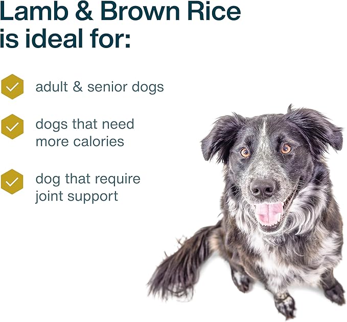JustFoodForDogs Pantry Fresh Wet Dog Food, Complete Meal or Dog Food Topper, Lamb & Brown Rice Human Grade Dog Food Recipe - 12.5 oz (Pack of 12)