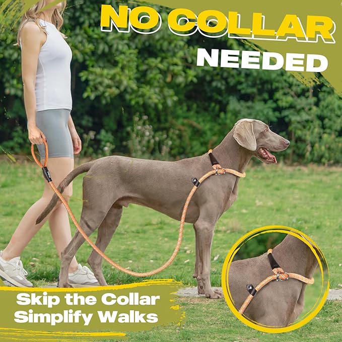 Fida Durable Slip Lead Dog Leash, 6 FT x 3/8" Heavy Duty Dog Loop Leash, Comfortable Strong Rope Slip Leash for Small Dogs and Puppies, No Pull Pet Training Leash with Highly Reflective (3/8", Orange)