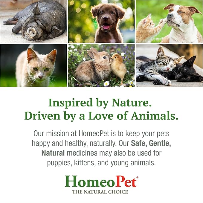 HomeoPet Feline Nose Relief, Safe and Natural Nasal and Sinus Supplement for Cats, 15 Milliliters