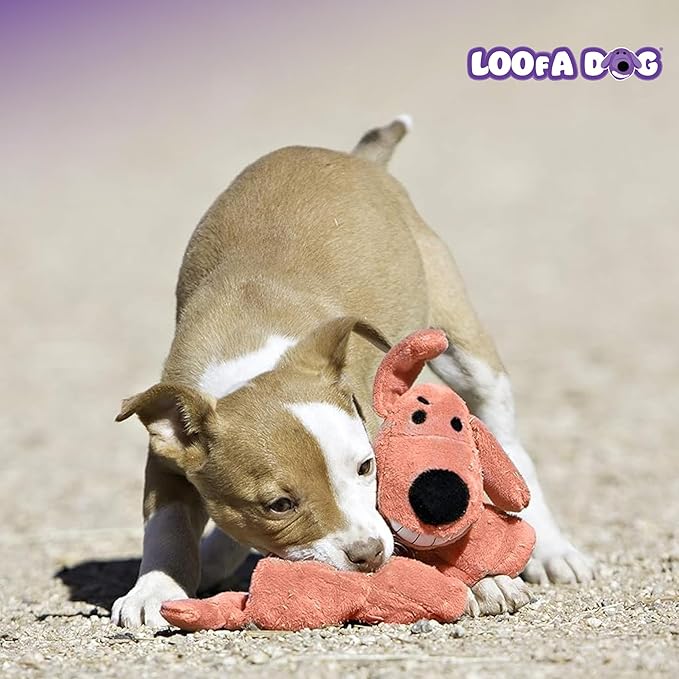 Multipet Original Loofa Dog Plush Toy - Squeaky Toy for All Dogs - Extra Soft Plush - Stuffed Animal Dog Toys for Playing - Cute Dog Pet Toy (1 Count, 12”, Random Color Surprise)
