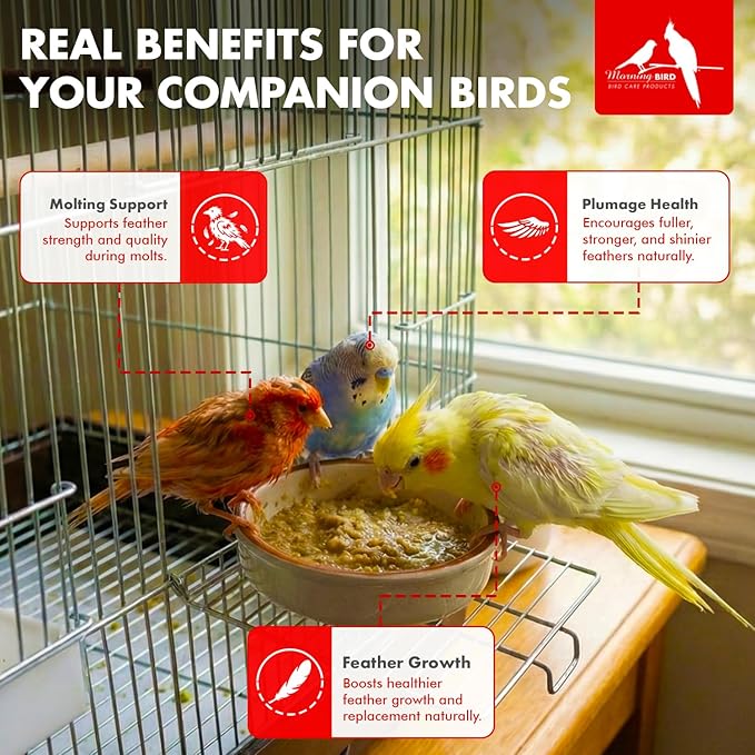 Morning Bird Feather Fast 2 Oz – Daily Multi-Vitamin for Growth & Molting Support – Promotes Healthy Feather Strength & Full Plumage – Supplement for All Adult Birds