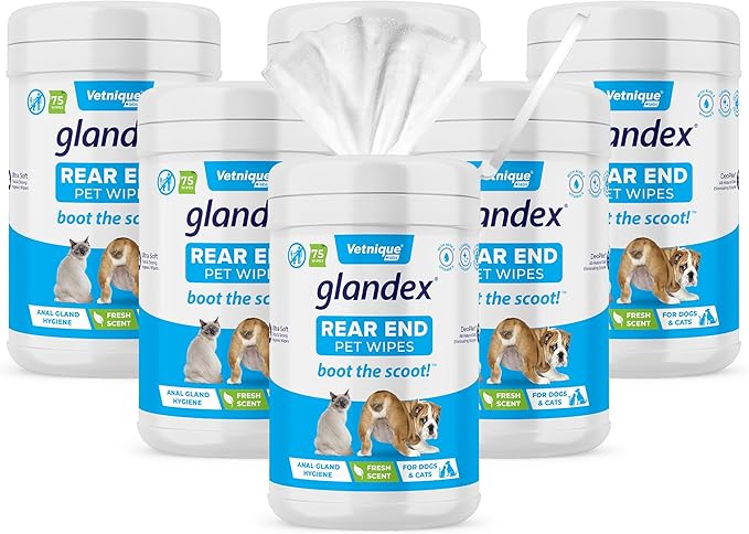 Vetnique Glandex Dog Wipes for Pets Cleansing & Deodorizing Anal Gland Hygienic Dog & Cat Wipes with Vitamin E, Skin Conditioners and Aloe (450ct)