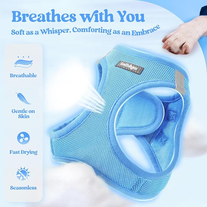 rabbitgoo Dog Harness Small Medium Sized and Leash Set, Step in Soft Light Puppy Vest, Breathable Mesh Pet Harness, Reflective for Safe Easy Walking, Blue XL