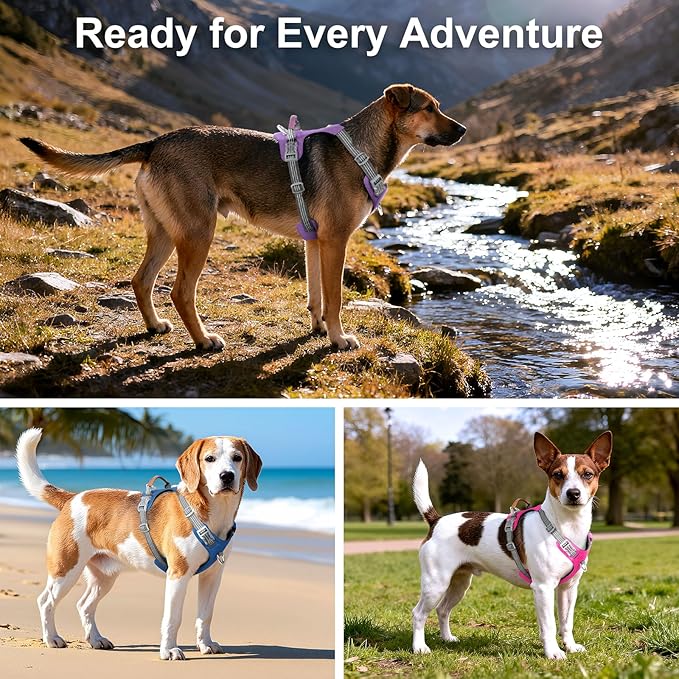No Pull Dog Harness – Adjustable Reflective Nylon Vest for Small Medium Large Dogs, Escape Proof Training Harness with Leather Control Handle, Lightweight Aluminum Hardware (Orange, L)