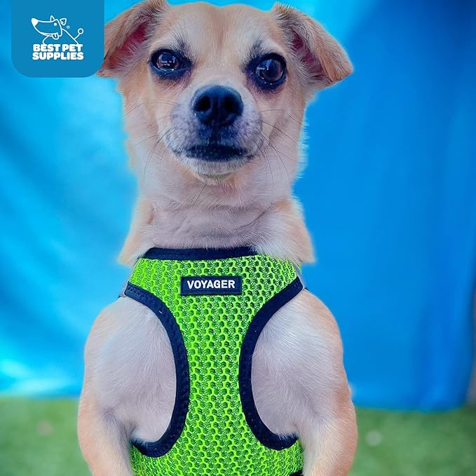 Best Pet Supplies Voyager Step-in Air Harness - All Weather Mesh, Reflective, No Pull Harness for Dogs, Cats - Secure with Hook & Loop Fastener, Buckle, Double D-Rings - Lime Green 2-Tone, L