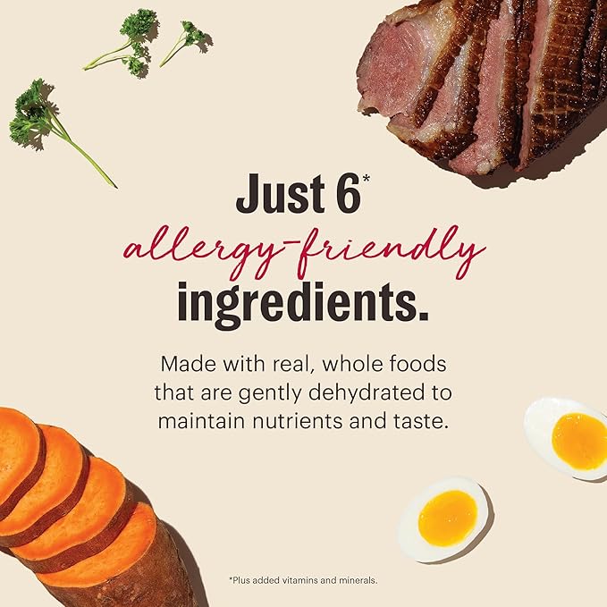 The Honest Kitchen Human Grade Wholemade™ Dehydrated Dog Food, Limited Ingredient Dog Food, Duck & Sweet Potato, 10 lb (makes 40lbs)