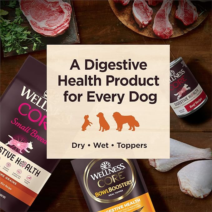 Wellness CORE Digestive Health Adult Dry Dog Food, Wholesome Grain Kibble, Sensitive Stomach, Natural, High Protein, Chicken Recipe, 4 lb Bag