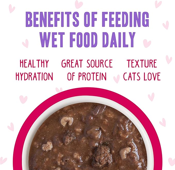 Weruva B.F.F. OMG - Best Feline Friend Oh My Gravy!, Tuna & Duck Dilly Dally with Tuna & Duck, 2.8oz Can (Pack of 12)