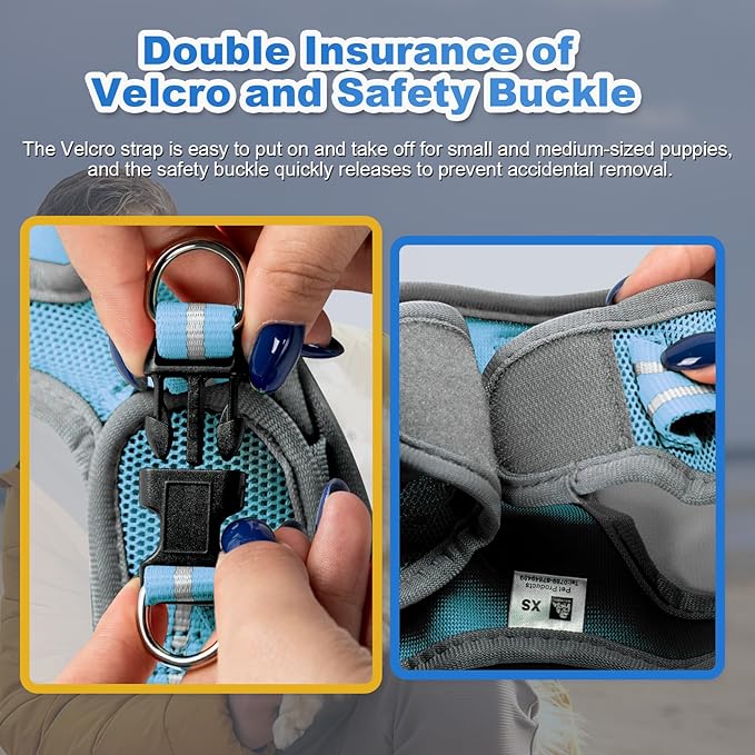 Dog Harness Medium Sized Dogs, Puppy Harness and Leash Set for Training, Running, Walking, Suitable for Small and Medium Dog Vest, Blue, S
