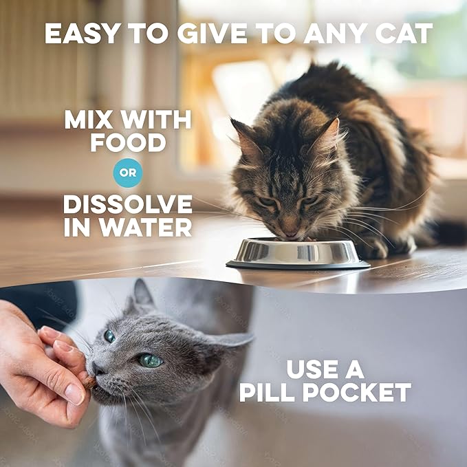 Cat Dental Care Supplement for Bad Breath, Tartar & Gum Support - Natural Cat Teeth Cleaning Oral Tablets Provide Eating & Gum Comfort, Teeth Wellness and Plaque Control, Tiny Dissolvable 400 Pills