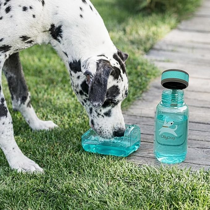 OllyDog OllyBottle | Tritan Dog Water Bottle with Detachable Bowl | BPA Free Leakproof Pet Dispenser | Hiking Travel (600ML, Aqua Blue)