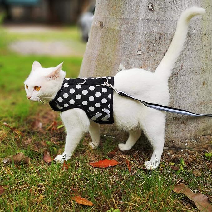 Cat Harness and Leash for Walking Escape Proof, Adjustable Cat Vest Harness, Padded Stylish Cat Walking Jackets, Polka Dot Black, X-Small